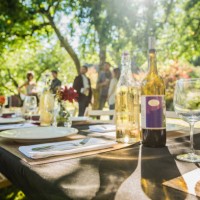 wine bottles on table at party outdoors - garden decoration photos et images de collection