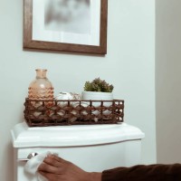 woman cleans toilet handle using disinfectant wipe - home decoration stock pictures, royalty-free photos & images