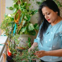 woman decorating her balcony using green potted plants. - garden decoration stock pictures, royalty-free photos & images