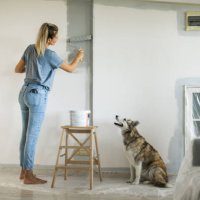 woman doing diy project in apartment - home decoration stock pictures, royalty-free photos & images