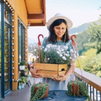 woman enjoys taking care of her houseplants on the terrace - garden decoration stock pictures, royalty-free photos & images
