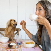 woman feeding her dog breakfast from the table like a baby - food stock pictures, royalty-free photos & images