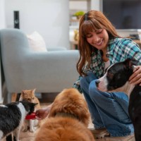 woman feeding her pets at home - food stock pictures, royalty-free photos & images