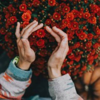 woman gently touching red chrysanthemum flowers in garden close up - garden decoration stock pictures, royalty-free photos & images