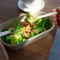woman having a healthy vegan lunch break from delivered eco lunch boxes. delicious balanced food concept. eco zero waste tableware. food delivery - junk food stock pictures, royalty-free photos & images