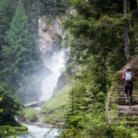 woman hiking in a lush green forest near a flowing river - travel stock pictures, royalty-free photos & images