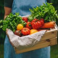 woman holding a crate with organic vegetables - food stock pictures, royalty-free photos & images