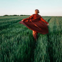 woman in red coat walking in the field at sunset - fashion stock pictures, royalty-free photos & images