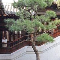 woman in the traditional oriental temple - garden decoration stock pictures, royalty-free photos & images