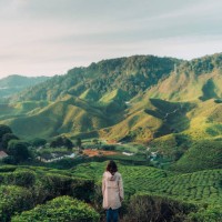woman looking at tea plantations - travel stock pictures, royalty-free photos & images