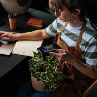 woman managing her online plant shop, typing on laptop and checking pictures on smartphone - home decoration stock pictures, royalty-free photos & images