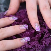 woman manicure - nails art stock pictures, royalty-free photos & images