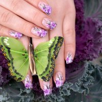 woman manicure posed with green butterfly - nails art stock pictures, royalty-free photos & images