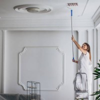 woman painting ceiling with paint roller - home decoration stock pictures, royalty-free photos & images