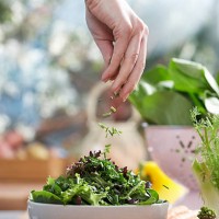 woman pouring herbs into bowl of salad in kitchen, close-up of hand - food stock pictures, royalty-free photos & images