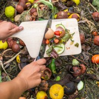 woman's hands throwing food scraps in the compost heap. - food stock pictures, royalty-free photos & images