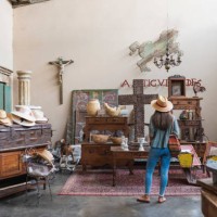 woman shopping in antique store - home decoration stock pictures, royalty-free photos & images