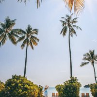 woman standing by maldives swimming pool at tropical island resort hotel beach with palm trees - travel stock pictures, royalty-free photos & images