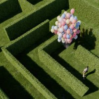 woman standing in hedge maze - garden decoration stock pictures, royalty-free photos & images