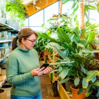 woman using phone in plant nursery store to buy plants - garden decoration stock pictures, royalty-free photos & images