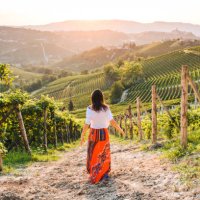 woman walking in vineyards enjoying the sunset, langhe region, piedmont, italy. unesco site - travel stock pictures, royalty-free photos & images