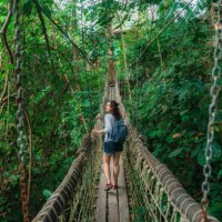 woman walking on rope bridge in lush jungles a - travel stock pictures, royalty-free photos & images
