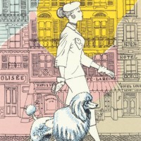 woman walking poodle in city - fashion stock-grafiken, -clipart, -cartoons und -symbole