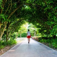 woman walking through green natural tunnel - garden decoration stock pictures, royalty-free photos & images