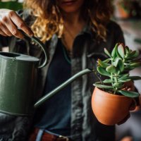 woman watering flowers - garden decoration stock pictures, royalty-free photos & images