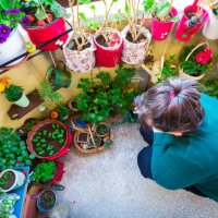 woman watering plants and flowers in balcony garden - garden decoration stock pictures, royalty-free photos & images