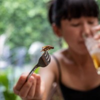 woman with fork going to eat fried insect - food stock pictures, royalty-free photos & images