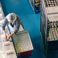 woman working at bakery workshop - food stock pictures, royalty-free photos & images