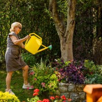 woman working in her garden with a plants. - garden decoration stock pictures, royalty-free photos & images
