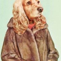 women with dog head - fashion stock illustrations