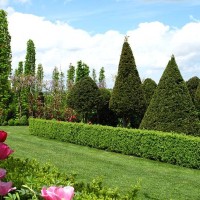 wonderful garden - garden decoration stock pictures, royalty-free photos & images