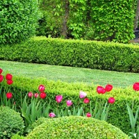 wonderful garden in springtime - garden decoration stock pictures, royalty-free photos & images