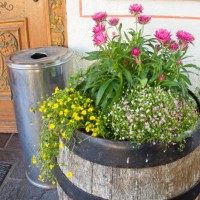 wood barrel flower display - garden decoration stock pictures, royalty-free photos & images