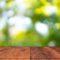 wood table top on blur abstract green from garden in the morning background.for montage product display or design key visual layout - garden decoration photos et images de collection