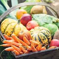 wooden basket full of fresh, organic vegetables - food stock pictures, royalty-free photos & images