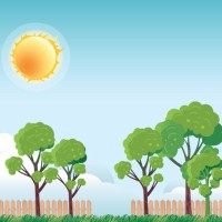 wooden fenced garden - garden decoration stock illustrations