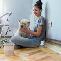 work and love - home decoration stock pictures, royalty-free photos & images