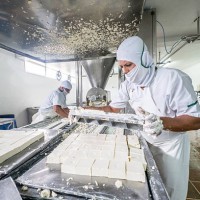 worker at a dairy factory - food stock pictures, royalty-free photos & images