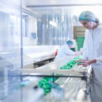 worker inspecting chocolate on production line in chocolate factory - food stock pictures, royalty-free photos & images