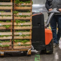 worker transporting crates of lettuce in warehouse - food stock pictures, royalty-free photos & images
