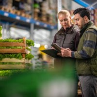 workers checking lettuce shipment in warehouse - food stock pictures, royalty-free photos & images