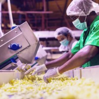 workers checking the quality of freshly prepared snacks at a factory in africa - food stock pictures, royalty-free photos & images