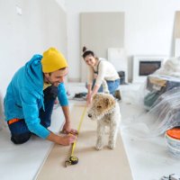 working together - home decoration stock pictures, royalty-free photos & images