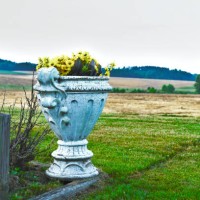 yellow flowers in a white flower pot - garden decoration stock pictures, royalty-free photos & images