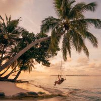 young adult woman relaxing on a swing in a tropical paradise - travel stock pictures, royalty-free photos & images