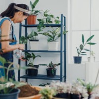 young asian woman taking care water houseplant in the morning at home. - garden decoration stock pictures, royalty-free photos & images